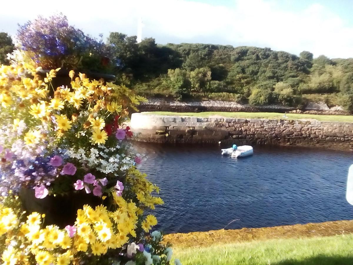Sea Song, Selkie House Bed & Breakfast Helmsdale Exterior photo